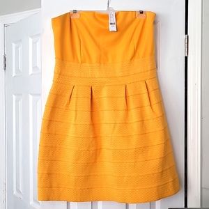 Sexy cute NY&Co sunflower yellow dress strapless dress